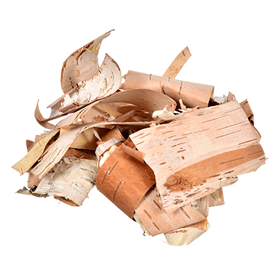 img1519628_607c77f14a8ed