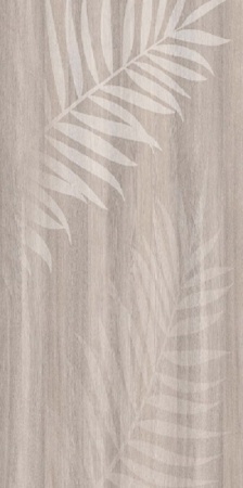 687 папоротник для сайта