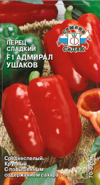 79607