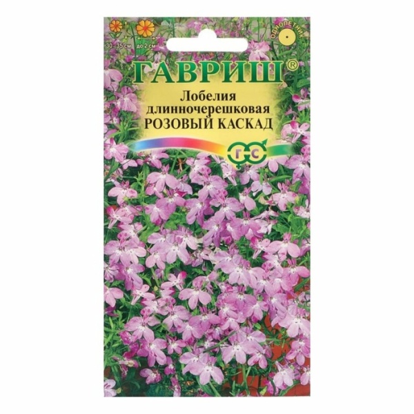 orig - 2026-02-06T084417.320